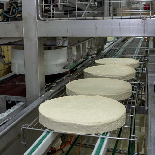 Fabrication, fromage, Brie de Meaux 