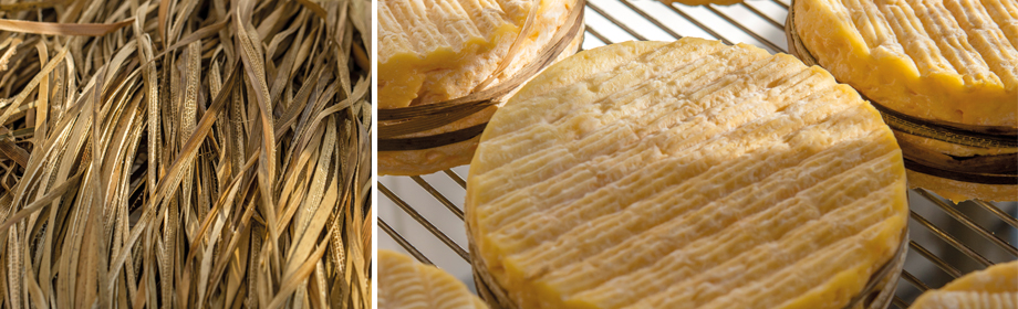 Livarot, fromage L'Affineur du Chef, PassionFroid, fournisseur alimentaire