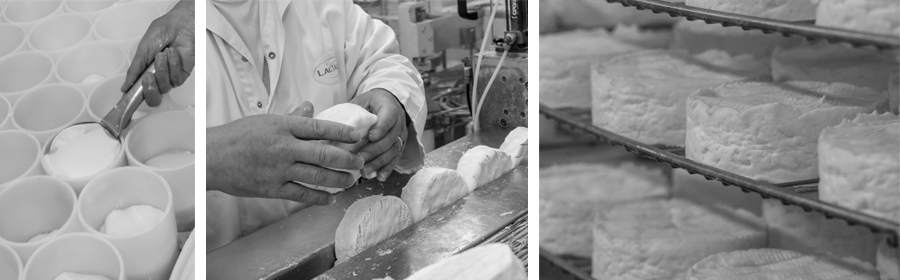 Camembert de Normandie, fabrication, fromage L'Affineur du Chef, PassionFroid, fournisseur alimentaire