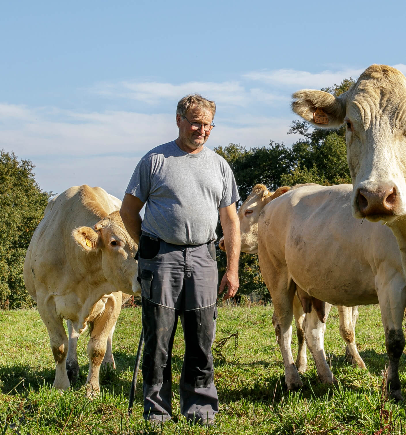Jean-Louis Planté, éleveur de veaux fermiers Label Rouge élevés sous la mère