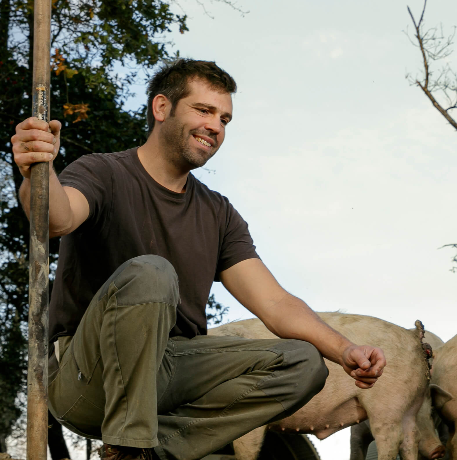 Damien Baïle, éleveur de porcs fermiers Label Rouge