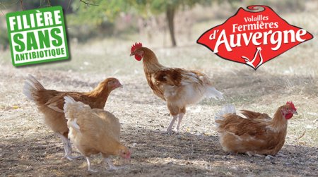 Les volailles fermières d'Auvergne - PassionFroid - Grossiste alimentaire