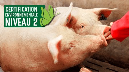 Porcs français éligible Egalim - PassionFroid fournisseur alimentaire pour la restauration collective