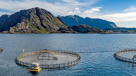 Shutterstock 1607405929 Aquaculture - Atlas 2021