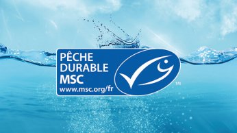 Pêche durable MSC