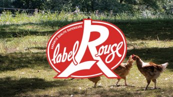 L'élevage fermier Label Rouge : gage de qualité et de production responsable - PassionFroid - Grossiste alimentaire