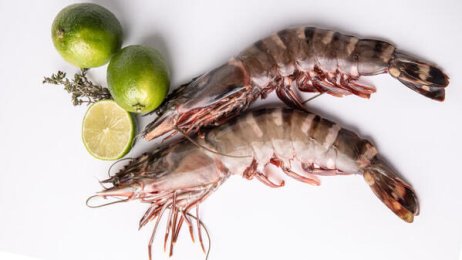 Crevettes sauvages entières crues 6/8 | Grossiste alimentaire | PassionFroid