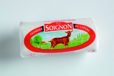 Le P'tit Soignon 23% MG 25 g | PassionFroid - 2