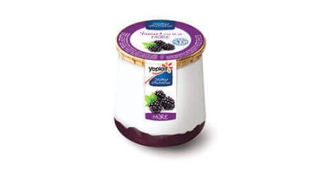 Saveur d'Autrefois yaourt pot verre sur lit de mûres 140 g Yoplait | Grossiste alimentaire | PassionFroid