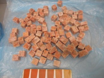Cube de saumon sauvage du Pacifique sans arêtes 25 g | Grossiste alimentaire | PassionFroid - 2