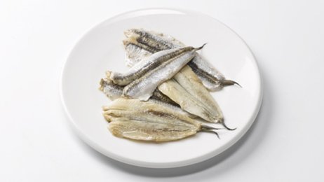 Filets d'anchois marinés à l'huile | Grossiste alimentaire | PassionFroid