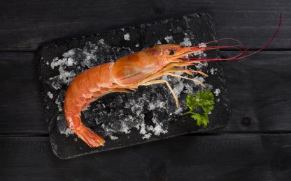 Crevette entière crue sauvage x 10/20 - 1 kg | Grossiste alimentaire | PassionFroid