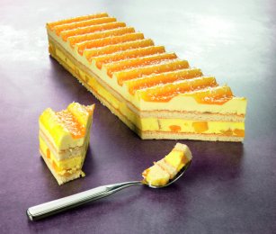 Joconde mangue-passion en bande 770 g | Grossiste alimentaire | PassionFroid - 2