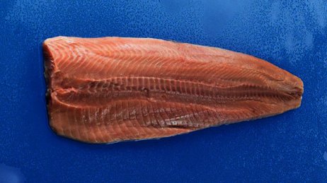 Filet de saumon sauvage keta du Pacifique sans peau sans arêtes MSC 600/1200 g | Grossiste alimentaire | PassionFroid - 2