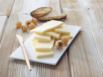 Gouda 27,9% MG BIO 20g Domalait | Grossiste alimentaire | PassionFroid - 2
