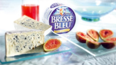 Bresse Bleu gastronomie 31% MG 500 g | Grossiste alimentaire | PassionFroid