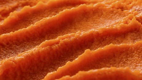 Purée de carottes et panais BIO 2,5 kg Bonduelle | Grossiste alimentaire | PassionFroid
