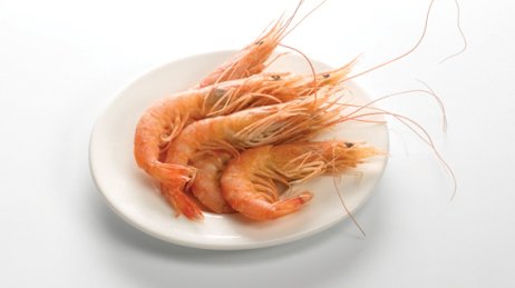 Crevettes entières cuites 60/80 ASC | Grossiste alimentaire | PassionFroid