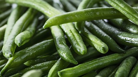 Haricots verts très-fins CE2 5 kg Minute Bonduelle | Grossiste alimentaire | PassionFroid