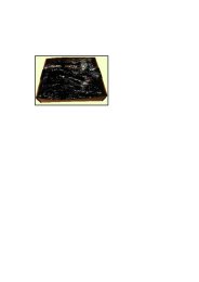 Truite saumonée AQR 170/230 g Bon&Engagé | Grossiste alimentaire | PassionFroid - 2