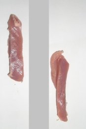 Emincé de dinde sans os sans peau VF BIO 5 kg | Grossiste alimentaire | PassionFroid - 2