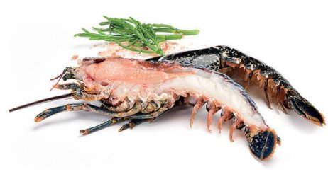 Demi homard européen bleu scié avec pince décortiquée 140/180 g | Grossiste alimentaire | PassionFroid