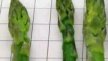 Pointes d'asperges vertes 1 kg | Grossiste alimentaire | PassionFroid - 2