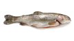 Truite saumonée désarêtée AQR 170/230 g Bon&Engagé | Grossiste alimentaire | PassionFroid