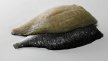 Plein-filet de dorade royale avec peau sans arêtes 150 g 8 Beaufort | Grossiste alimentaire | PassionFroid - 2