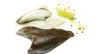 Filets de turbot sauvage avec peau sans arêtes 140/220 g | Grossiste alimentaire | PassionFroid - 2