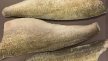 Filet de sandre sauvage du Canada avec peau 400/800 g Fresh Water | Grossiste alimentaire | PassionFroid - 2