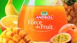 Jus multifruits 10 L Andros | Grossiste alimentaire | PassionFroid - 2