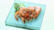 Crevettes entières cuites 60/80 ASC | PassionFroid - 2