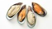 Moules demi coquille 30/45 | Grossiste alimentaire | PassionFroid