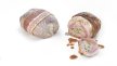 Ballotin de caille bardé à la poitrine de porc fumée et farci aux asperges 150 g | Grossiste alimentaire | PassionFroid