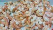 Queues de crevettes décortiquées cuites 40/50 | PassionFroid - 2