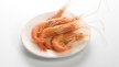 Crevettes entières cuites 60/80 ASC | Grossiste alimentaire | PassionFroid