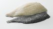 Plein-filet de dorade royale avec peau sans arêtes 150 g 8 Beaufort | Grossiste alimentaire | PassionFroid