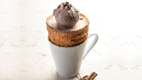 Recette : Mug cake cannelle Tonka - PassionFroid