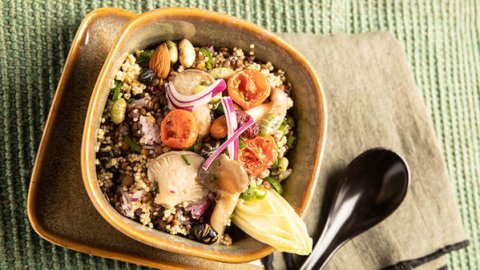 Recette : Salade végétale, quinoa, lentilles et pleurotes - PassionFroid