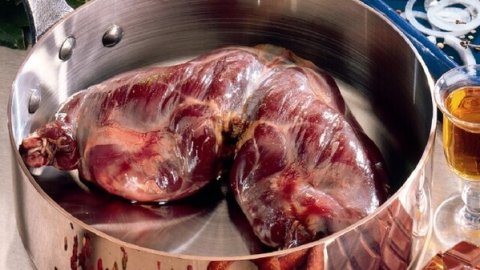 Recette : Cuisse de lièvre forestière au poivre de séchuan - PassionFroid
