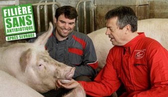 Filière "Porcs français élevés sans antibiotique dès la fin du sevrage", PassionFroid, Distributeur alimentaire
