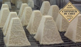 Pouligny-Saint-Pierre au lait cru AOP, fromage, L'Affineur du Chef, PassionFroid, fournisseur alimentaire