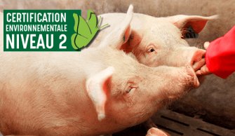 Porcs français éligible Egalim - PassionFroid fournisseur alimentaire pour la restauration collective