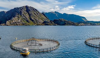 Shutterstock 1607405929 Aquaculture - Atlas 2021