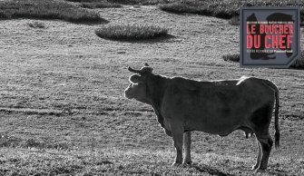 Le bœuf affiné origine Galice