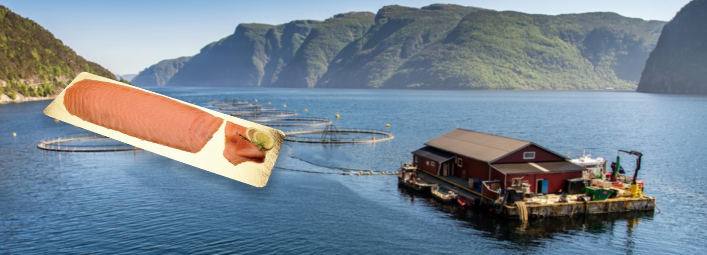 Saumon fumé de Norvège - PassionFroid distributeur alimentaire pour les professionnels de la restauration