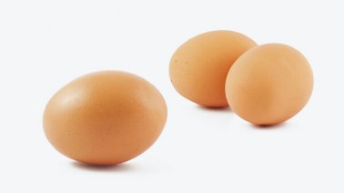 Œufs et ovoproduits - PassionFroid - Grossiste alimentaire